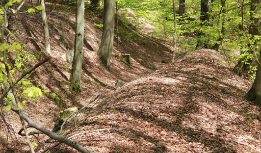 Alte Schanze / Dicker Schlag 