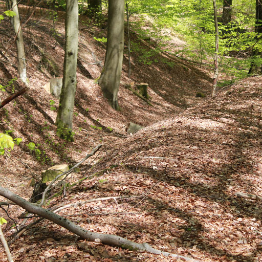 Zusätzliche Informationen