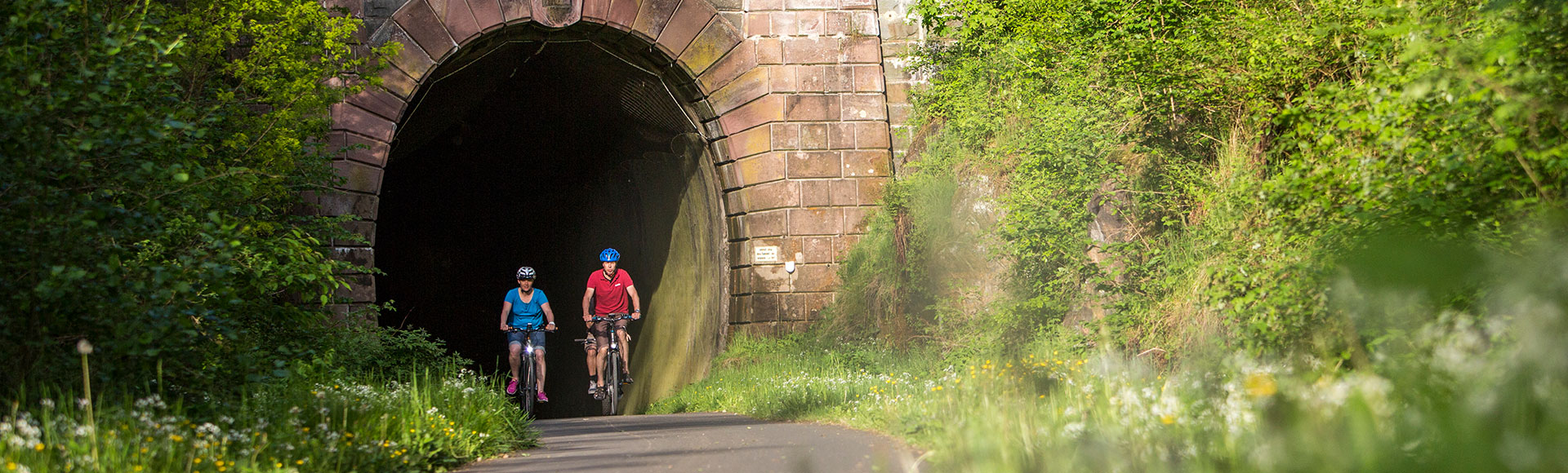 Freudenberg Aktivitäten